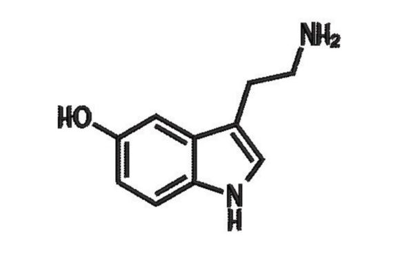 Review: Serotonin Chemistry Symbol for Embroidery