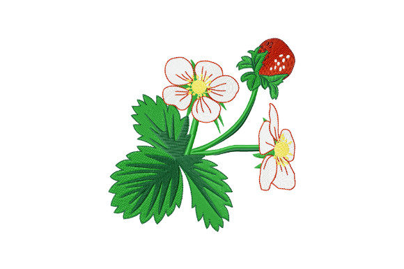 Wild Strawberry: A Designer’s Review for Real Embroidery Projects